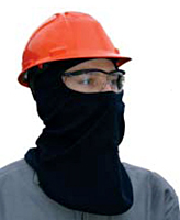 Electricians Head and Eye Protection