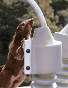 Utility Line Outage & Wildlife Protection